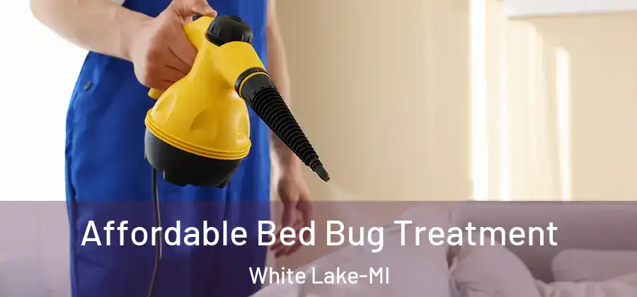 Affordable Bed Bug Treatment White Lake-MI