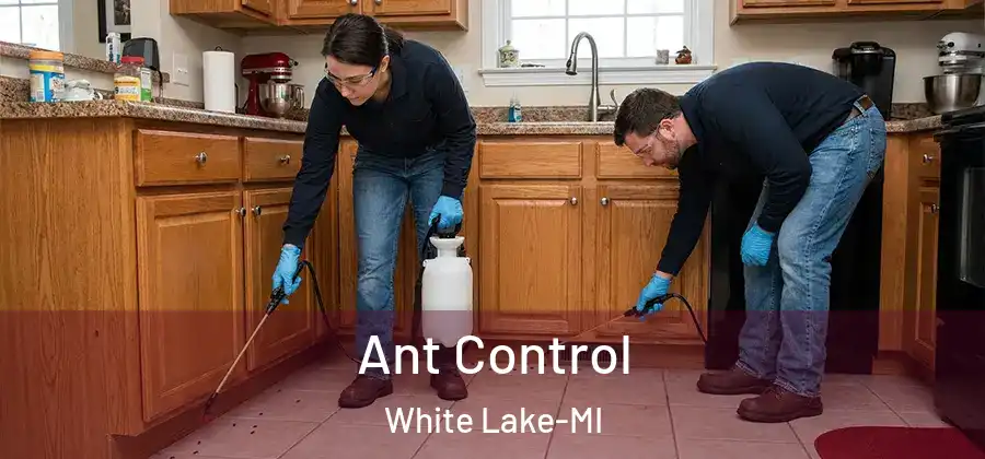 Ant Control White Lake-MI