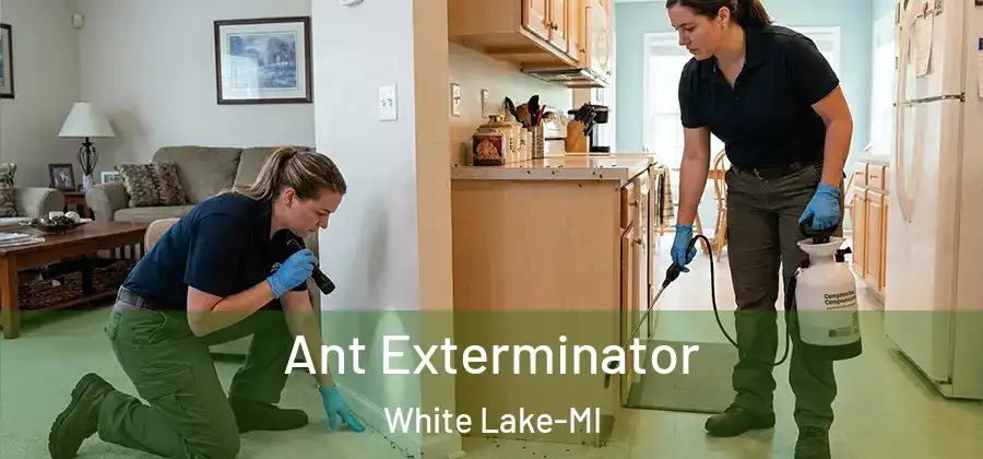 Ant Exterminator White Lake-MI