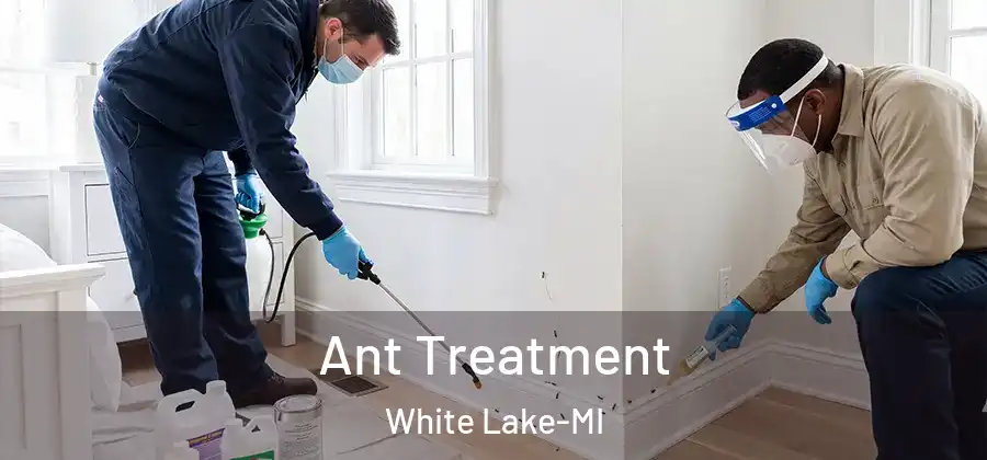 Ant Treatment White Lake-MI