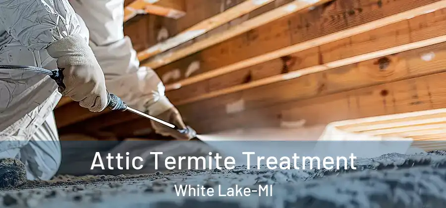 Attic Termite Treatment White Lake-MI