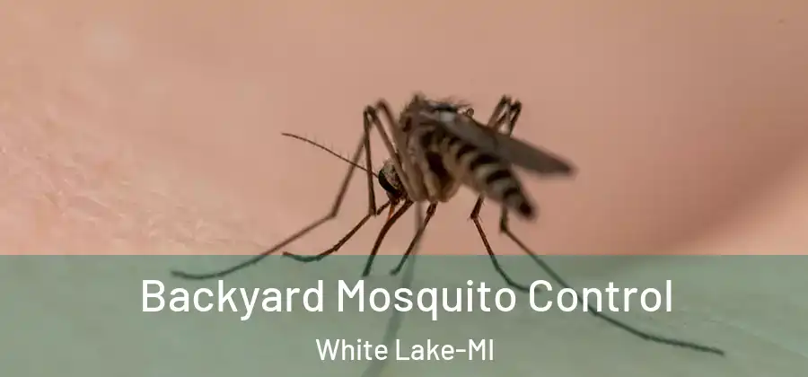 Backyard Mosquito Control White Lake-MI