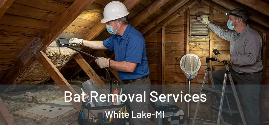 Bat Removal Services White Lake-MI