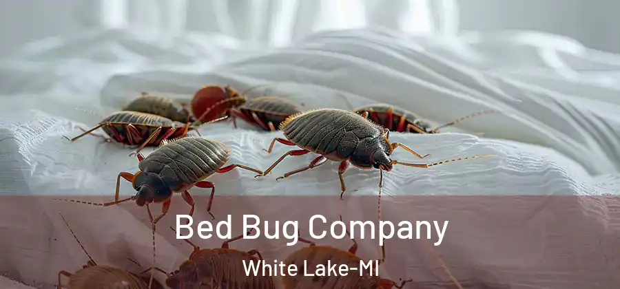  Bed Bug Company White Lake-MI