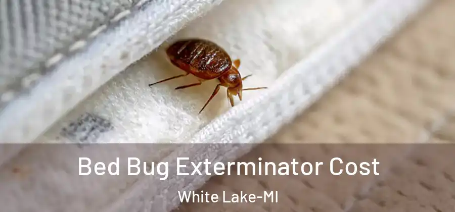  Bed Bug Exterminator Cost White Lake-MI
