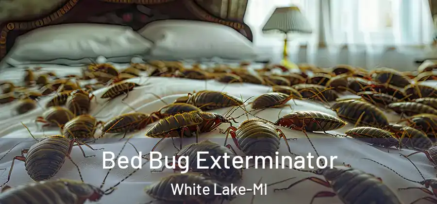 Bed Bug Exterminator White Lake-MI