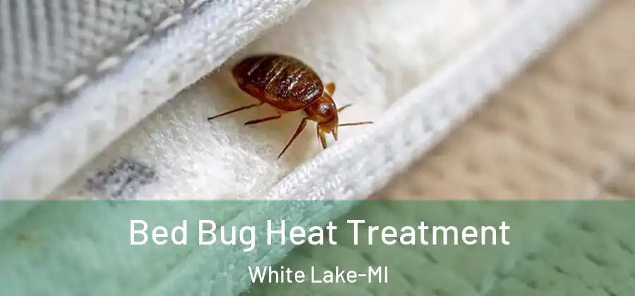 Bed Bug Heat Treatment White Lake-MI