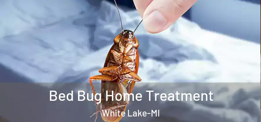  Bed Bug Home Treatment White Lake-MI