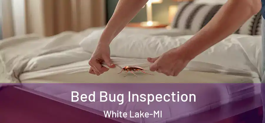 Bed Bug Inspection White Lake-MI