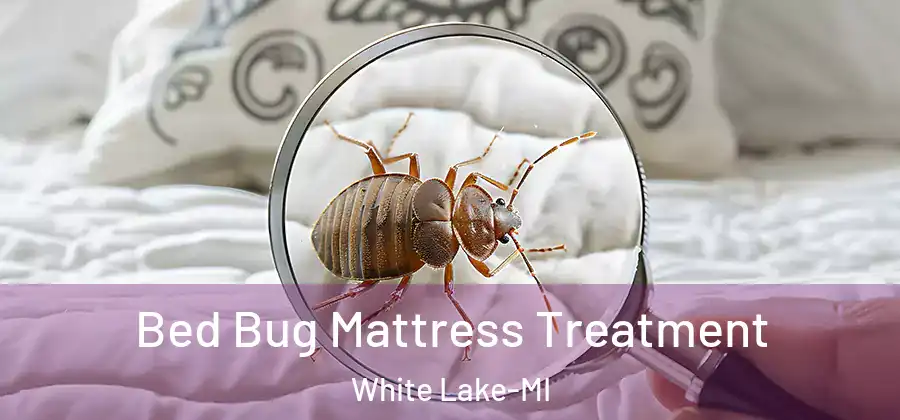 Bed Bug Mattress Treatment White Lake-MI
