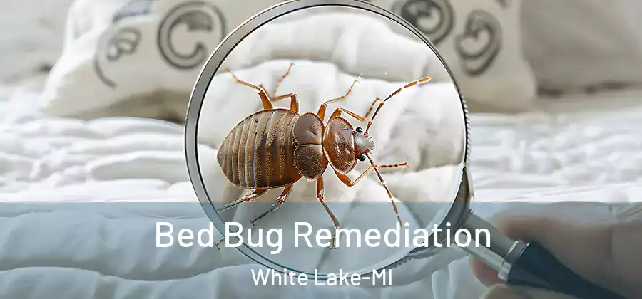  Bed Bug Remediation White Lake-MI
