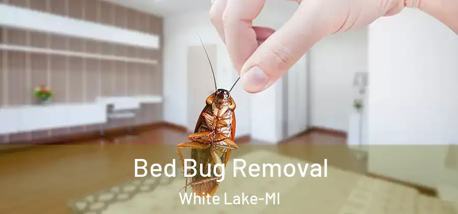 Bed Bug Removal White Lake-MI