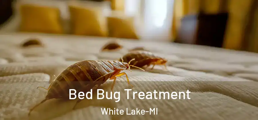 Bed Bug Treatment White Lake-MI