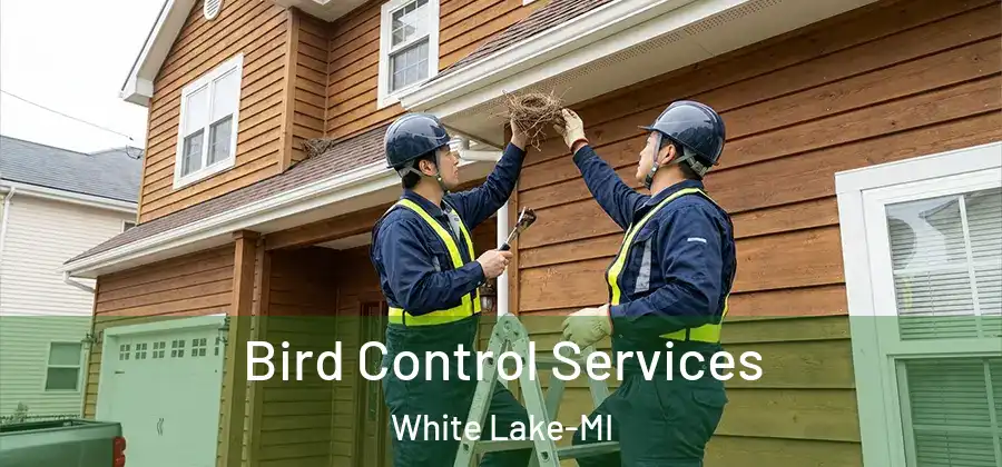 Bird Control Services White Lake-MI