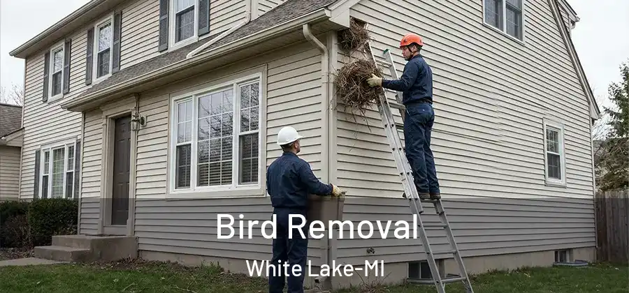 Bird Removal White Lake-MI