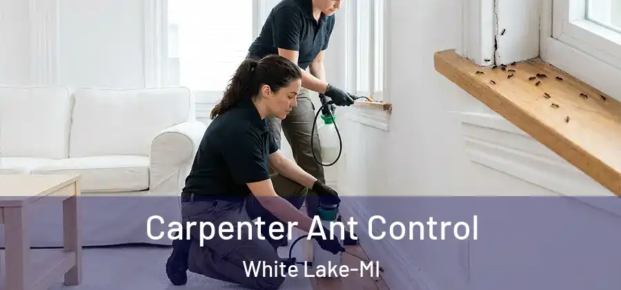 Carpenter Ant Control White Lake-MI