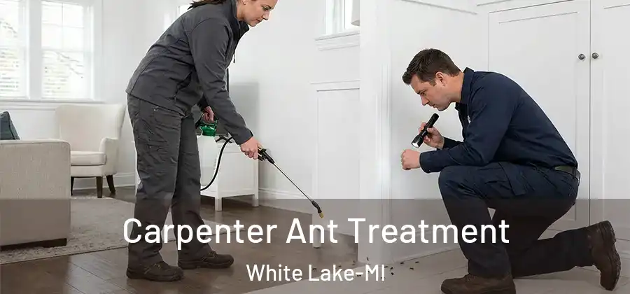  Carpenter Ant Treatment White Lake-MI