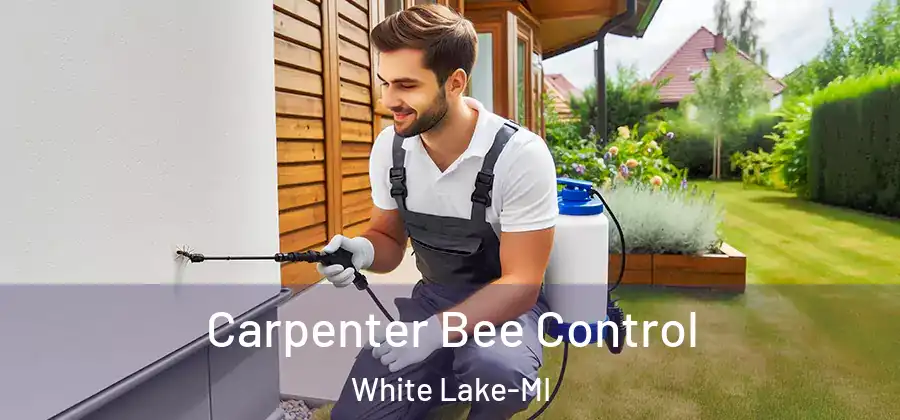 Carpenter Bee Control White Lake-MI