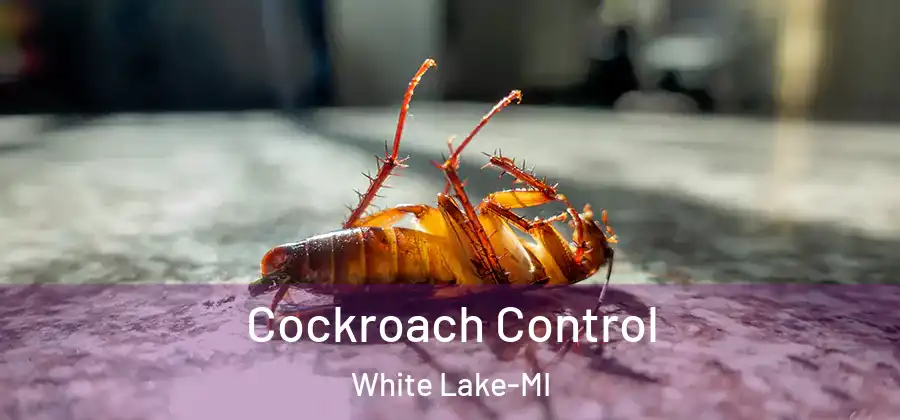  Cockroach Control White Lake-MI
