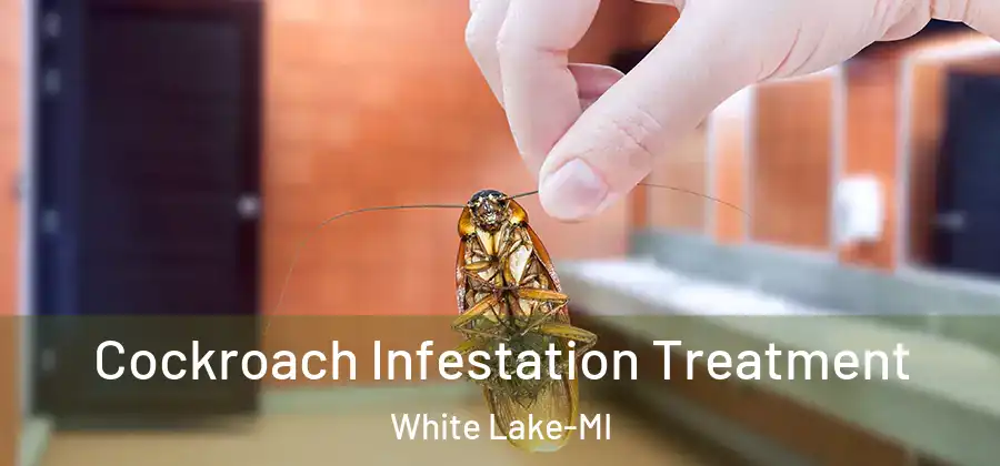  Cockroach Infestation Treatment White Lake-MI