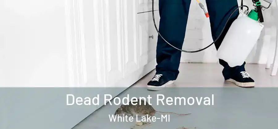 Dead Rodent Removal White Lake-MI