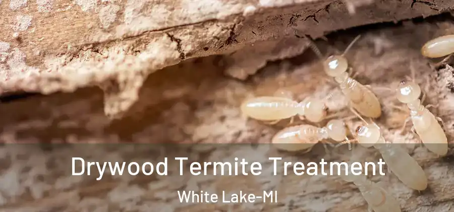  Drywood Termite Treatment White Lake-MI