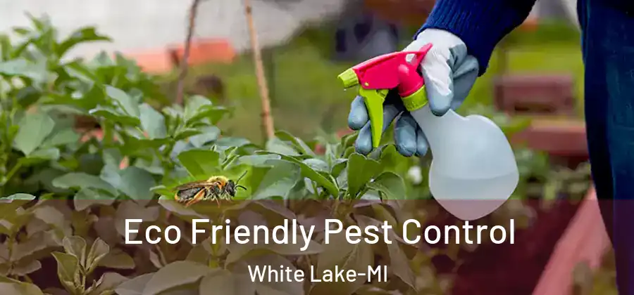  Eco Friendly Pest Control White Lake-MI