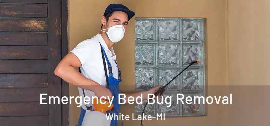 Emergency Bed Bug Removal White Lake-MI