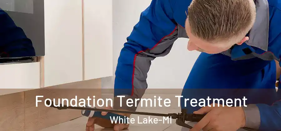 Foundation Termite Treatment White Lake-MI
