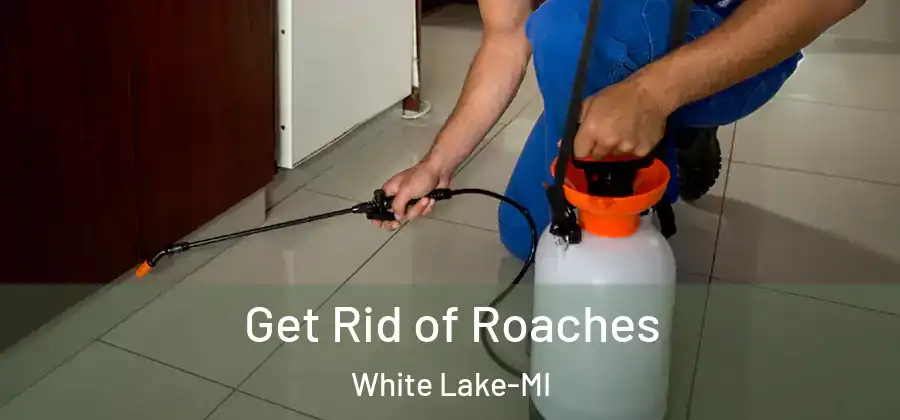 Get Rid of Roaches White Lake-MI