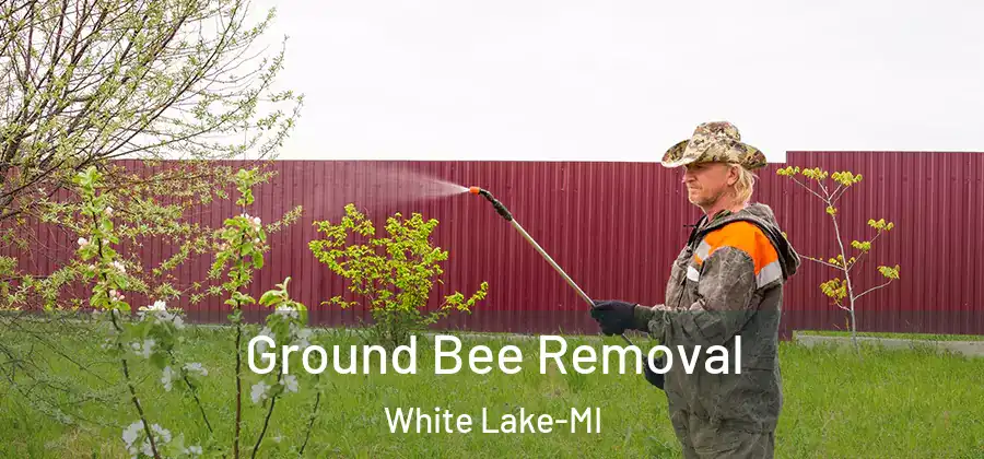  Ground Bee Removal White Lake-MI