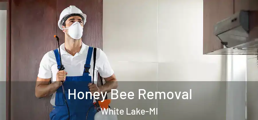 Honey Bee Removal White Lake-MI
