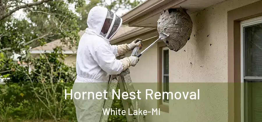  Hornet Nest Removal White Lake-MI