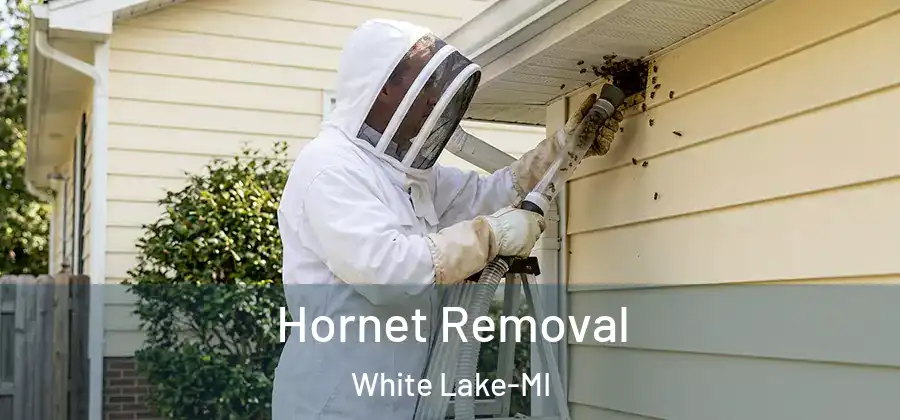 Hornet Removal White Lake-MI