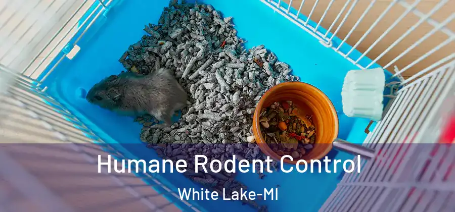  Humane Rodent Control White Lake-MI