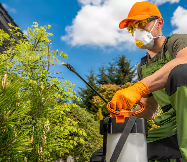 Your Mosquito Repellent Barrier Service in White Lake, MI