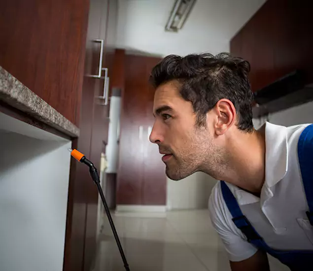 Termite Inspection Cost Experts You Can Trust in White Lake, MI