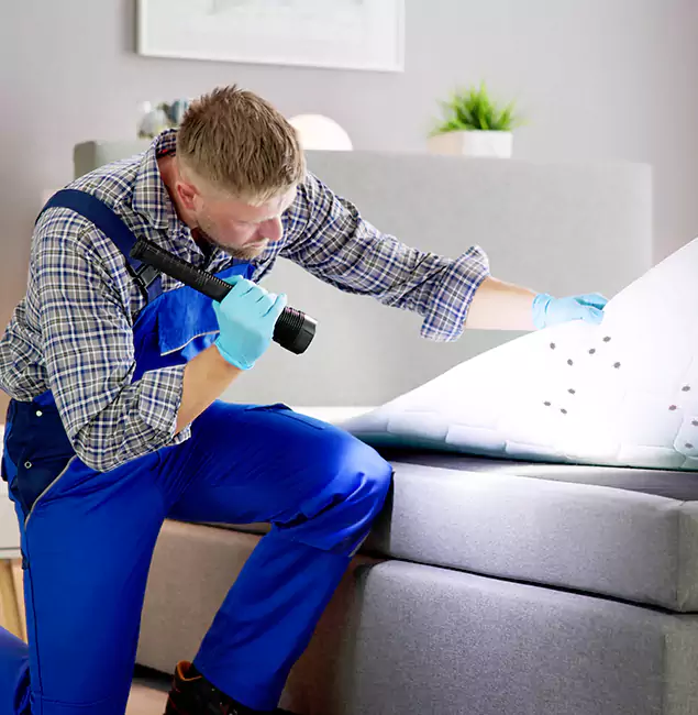 Why Choose White Lake Pest Control Pro for Bed Bug Exterminator Cost in White Lake, MI?