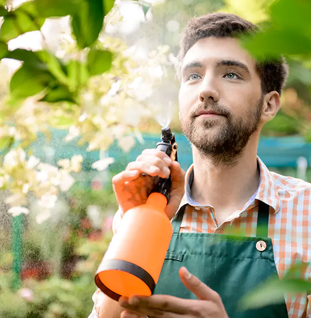 Why White Lake Pest Control Pro Is the Best Mosquito Control Company in White Lake, MI?