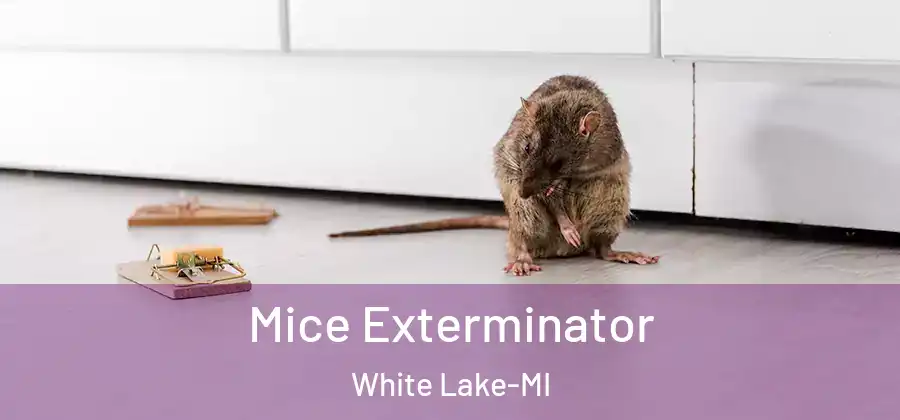Mice Exterminator White Lake-MI