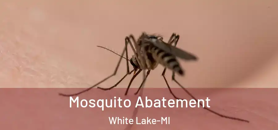 Mosquito Abatement White Lake-MI