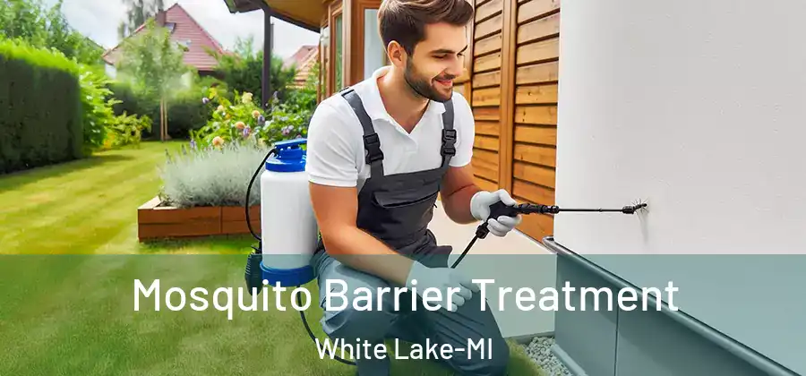  Mosquito Barrier Treatment White Lake-MI