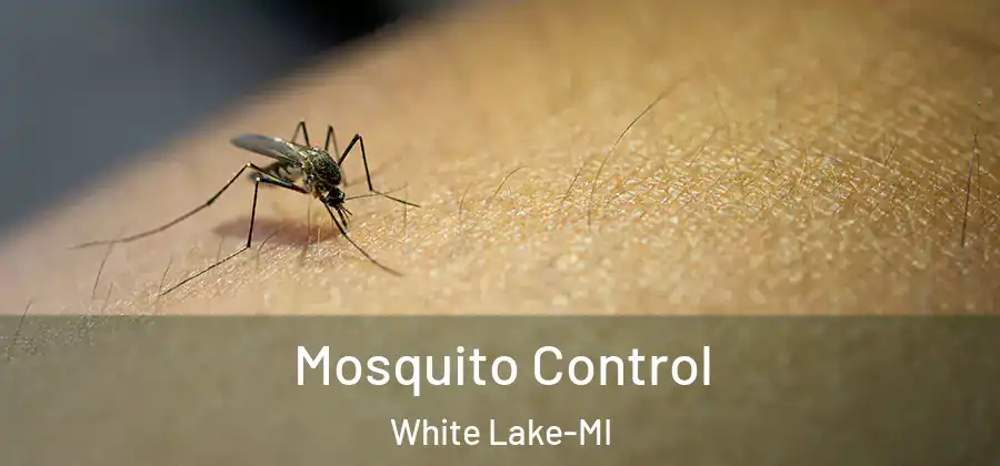 Mosquito Control White Lake-MI
