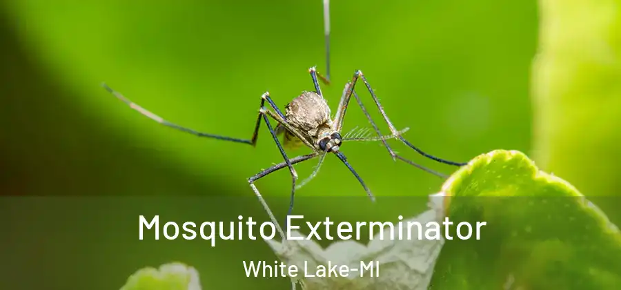  Mosquito Exterminator White Lake-MI