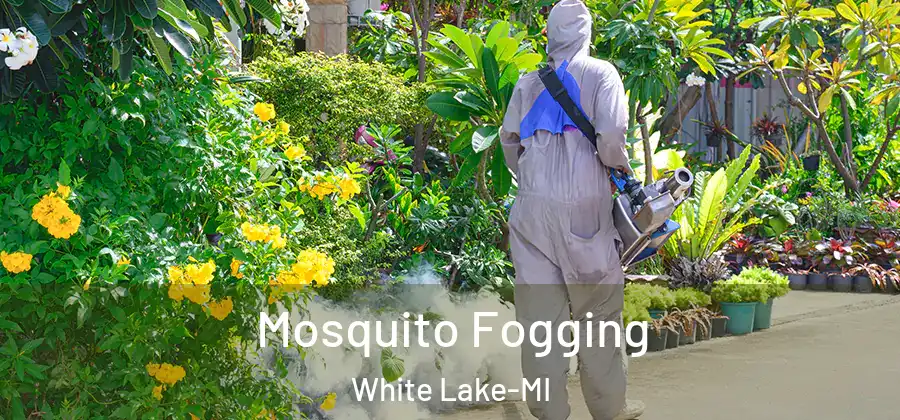  Mosquito Fogging White Lake-MI