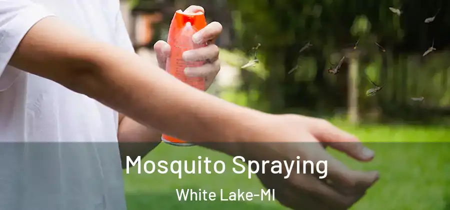 Mosquito Spraying White Lake-MI