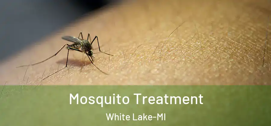  Mosquito Treatment White Lake-MI