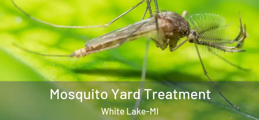 Mosquito Yard Treatment White Lake-MI