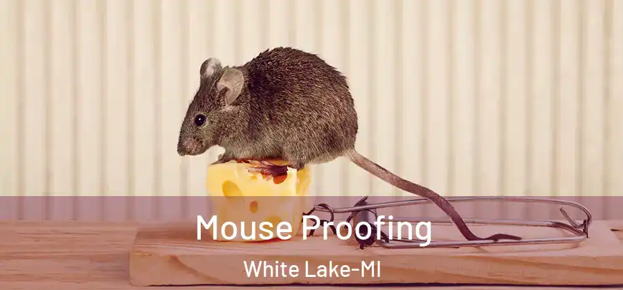  Mouse Proofing White Lake-MI