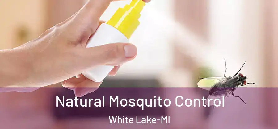 Natural Mosquito Control White Lake-MI